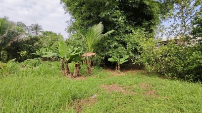 Tanah Tepi Sungai Mukim Hulu Langat (Ada Rumah) — foto 5/10