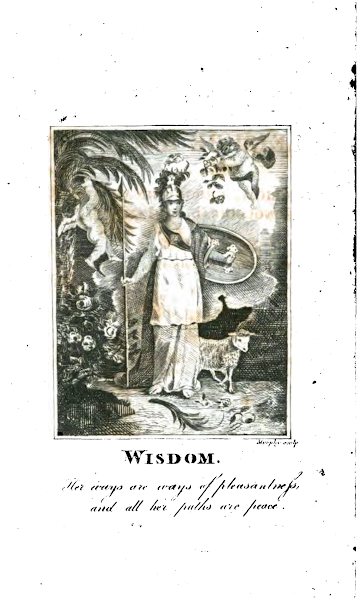 Capa