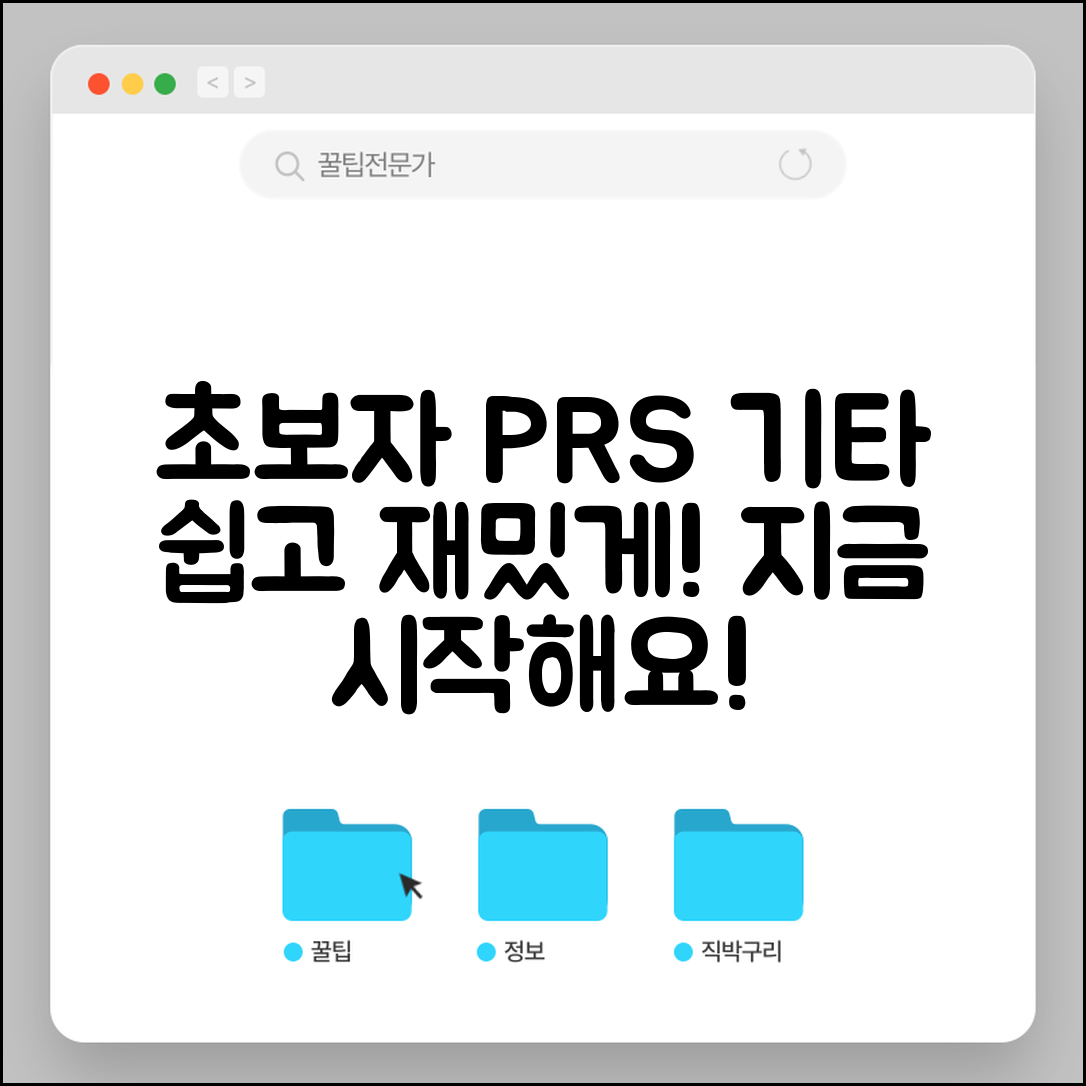 초보자도 쉽게 배울 수 있는 PRS 기타 맛보기