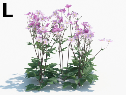 Maxtree - Plant Models Vol.3