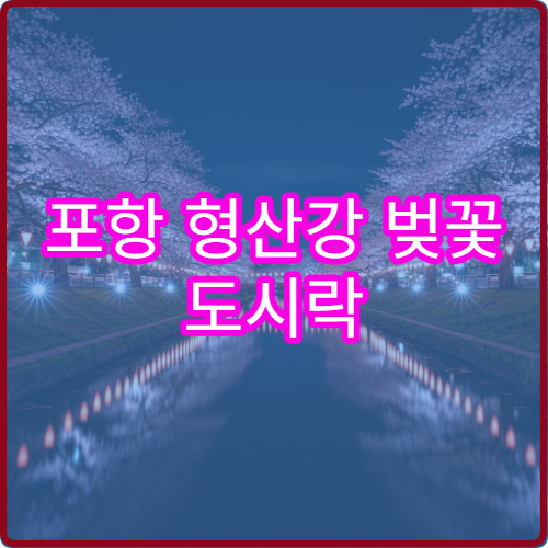 포항 형산강 벚꽃 도시락 피크닉 강변 절벽 명당 위치와 준비물