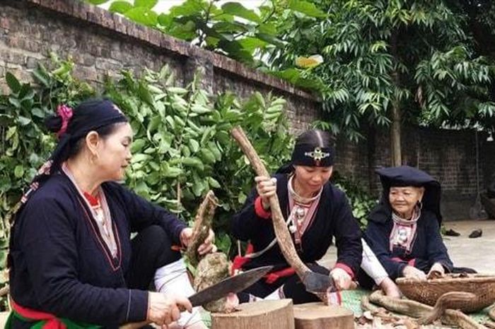 Sinh kế từ cây thuốc nam giữa đại ngàn Ba Vì - Báo Hà Nội Mới