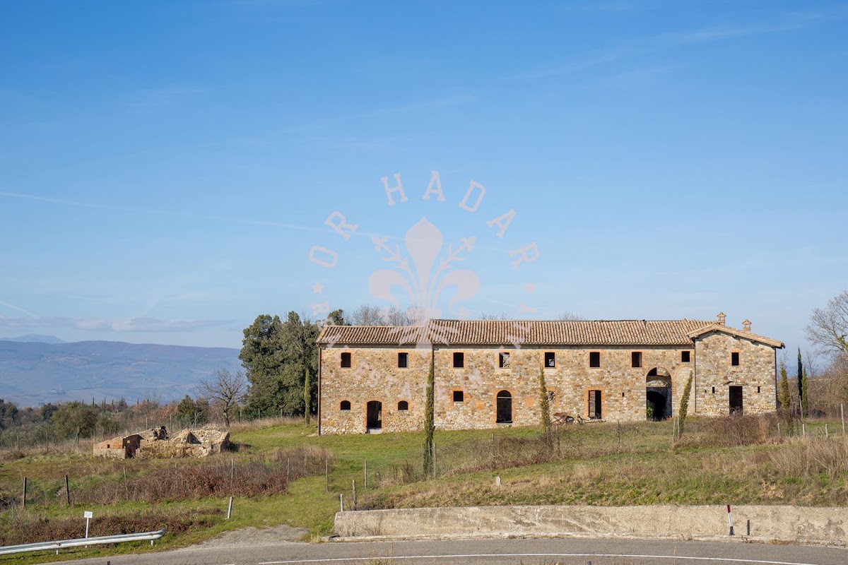 וילה קונסולאה (Villa Consulae) — 12