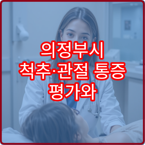 의정부시 척추·관절 통증 평가와 추나요법 재활 치료 병원 정보