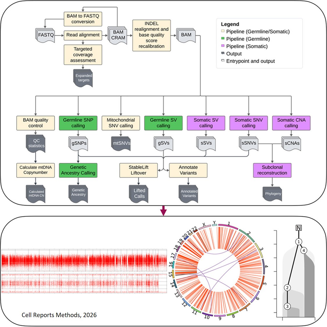 Metapipeline-DNA: A comprehensive germline and somatic genomics Nextflow pipeline