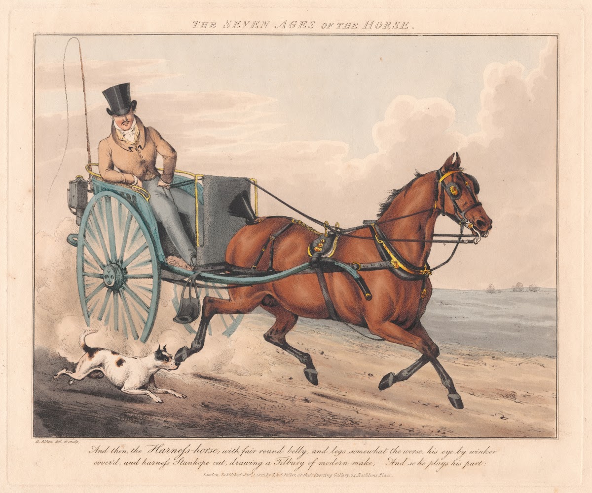The Seven Ages of the Horse 1825