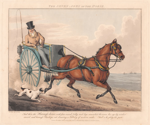 The Seven Ages of the Horse 1825