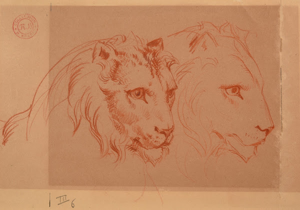Deux têtes de lion