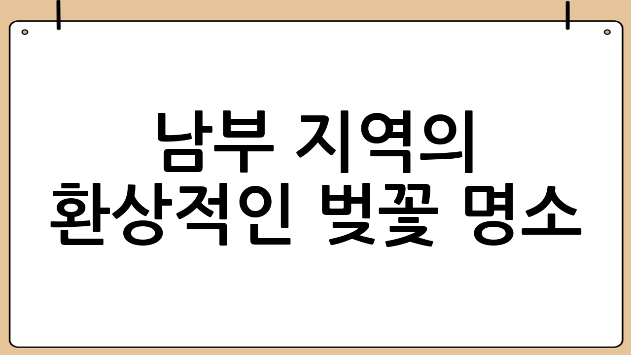 남부 지역의 환상적인 벚꽃 명소