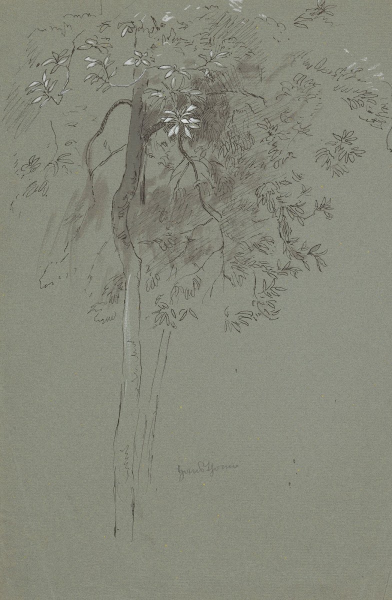 Study of two trees 1880   1920