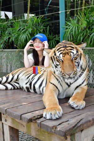 Cánh Cửa Im Lặng