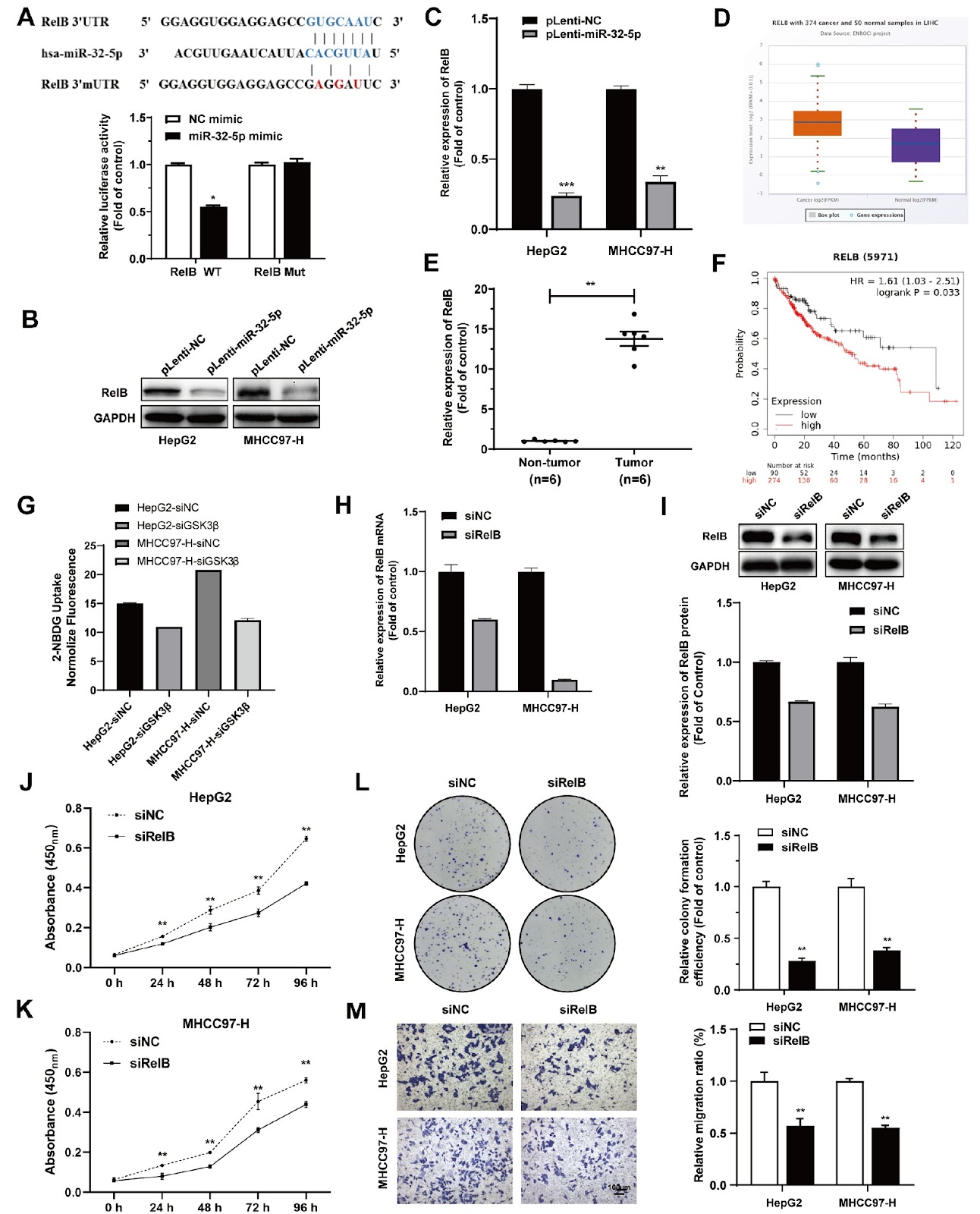 miR-32-5p suppresses the progression of hepatocellular carcinoma by regulating the GSK3β/NF-κB signaling