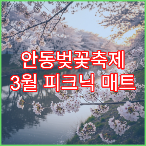 안동벚꽃축제 3월 피크닉 매트 대여 가능한 공원 존