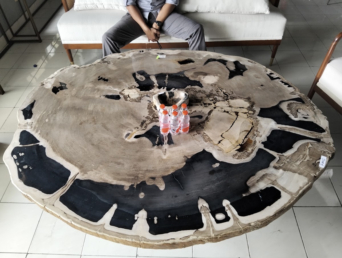 ROUND DINING TABLE — SKU SBTP.1154.23 | Petrified Wood by PJ Antique Bali