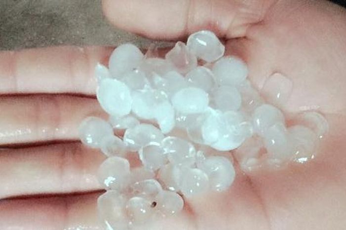 Nhiều khu vực ở Hà Nội sáng nay có mưa đá - Báo Sức Khỏe &amp; Đời Sống