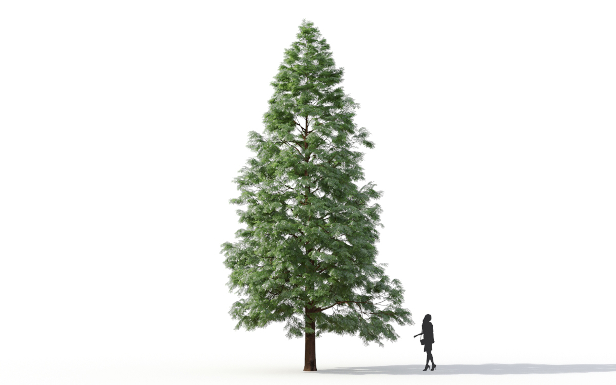 Maxtree - Plant Models Vol.11