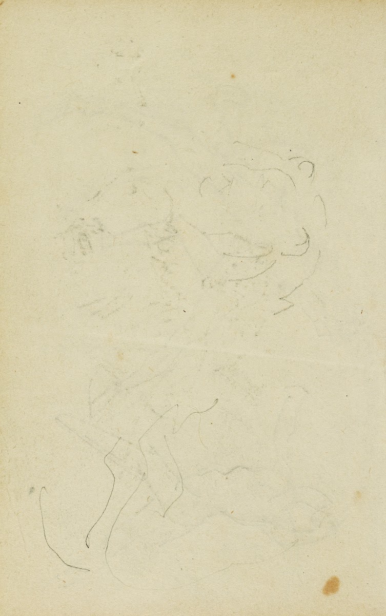 Sketches of head and hind legs of a lion 1812   1814