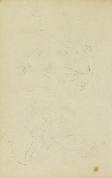 Sketches of head and hind legs of a lion 1812   1814