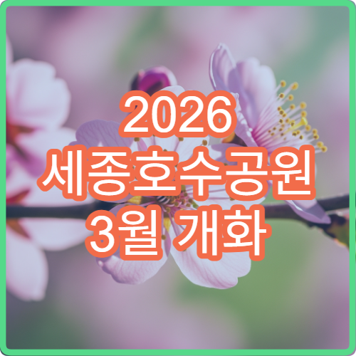 2026 세종호수공원 3월 개화 늦을 때 대체 명소 3곳