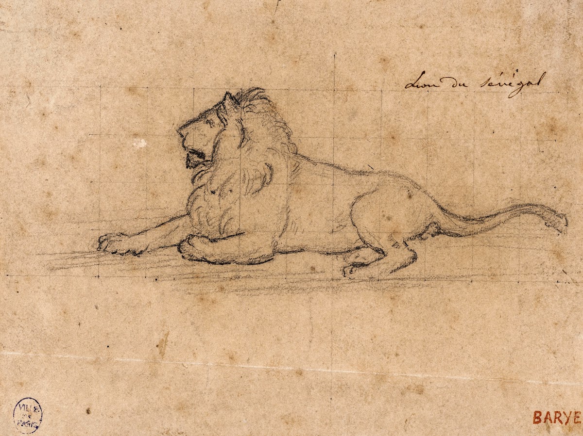 Lion du Sénégal 19th century