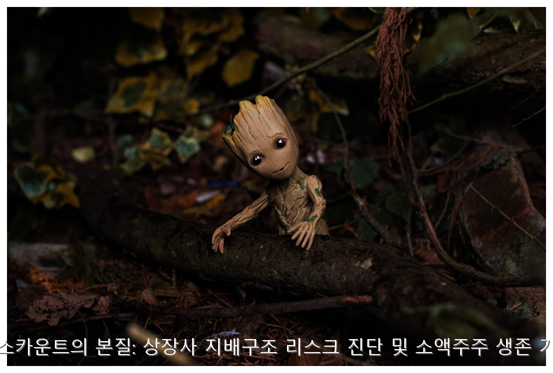 K-디스카운트의 본질: 상장사 지배구조 리스크 진단 및 소액주주 생존 가이드 핵심 안내 및 분석 인포그래픽 (2)