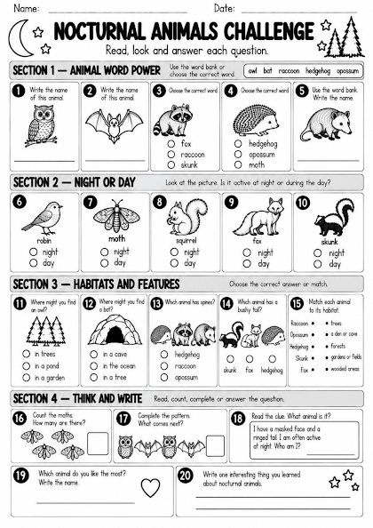 Nocturnal Animals Challenge Worksheet