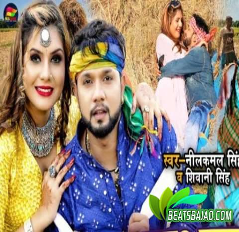 Aawa Janu Puara Ke Pichhawa