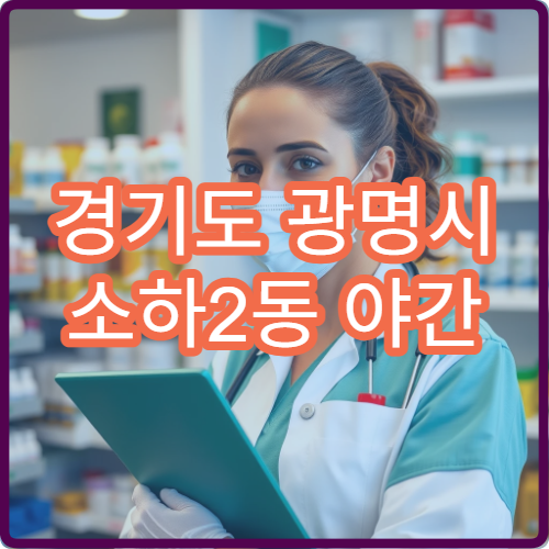 경기도 광명시 소하2동 야간 시간 이용 가능한 약국 찾기