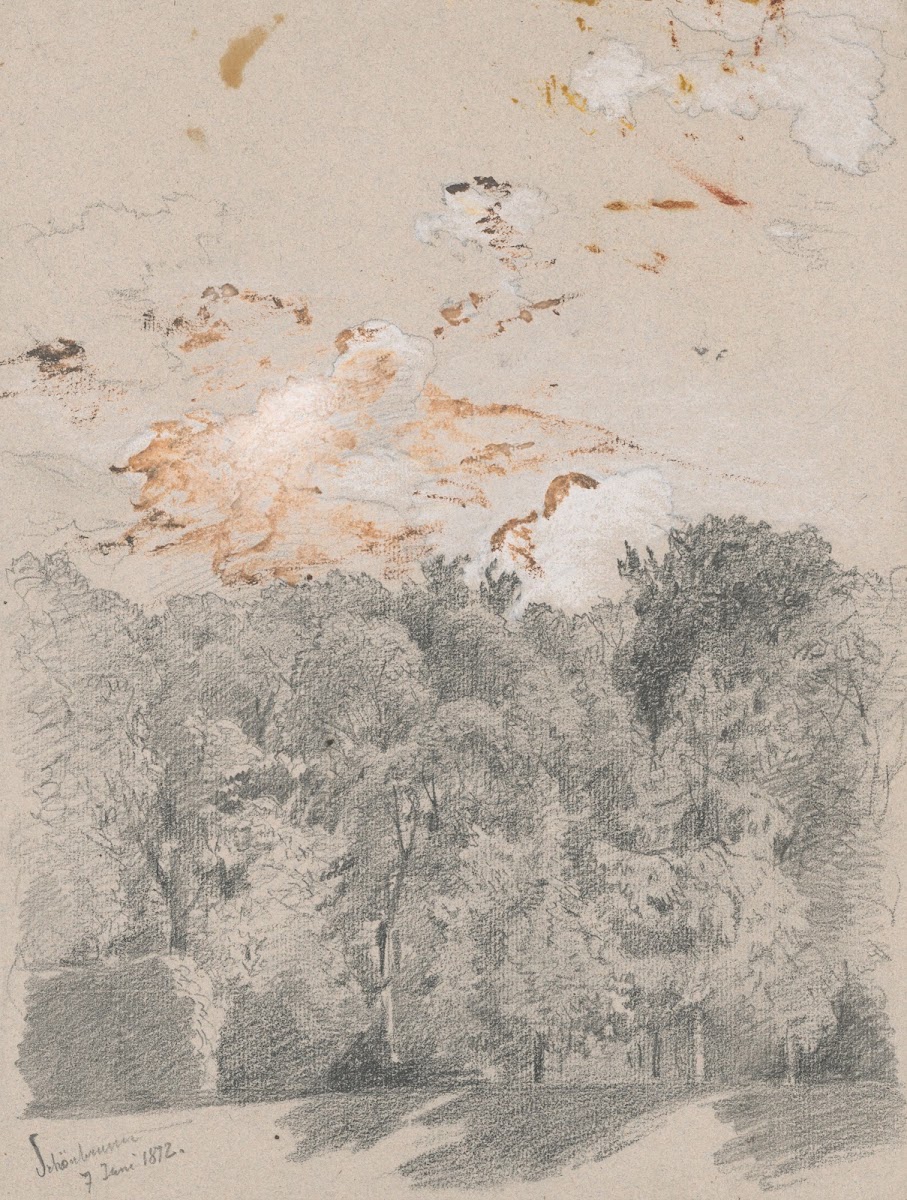 Trees  Motif from Schönbrunn Park