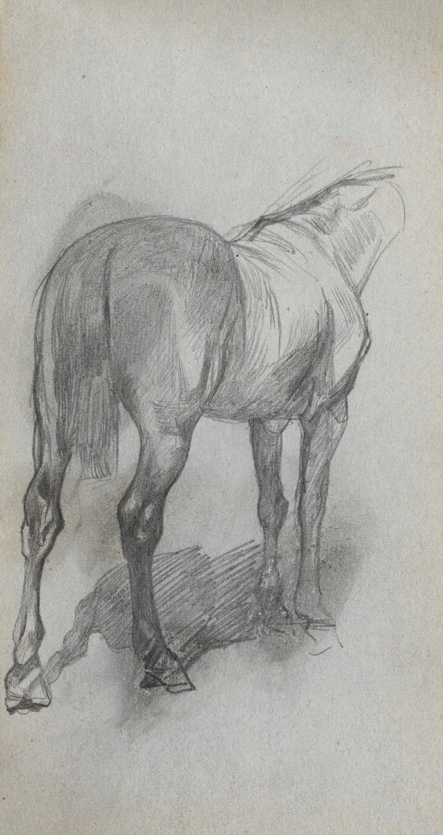 Study of a Horse 6 1860s