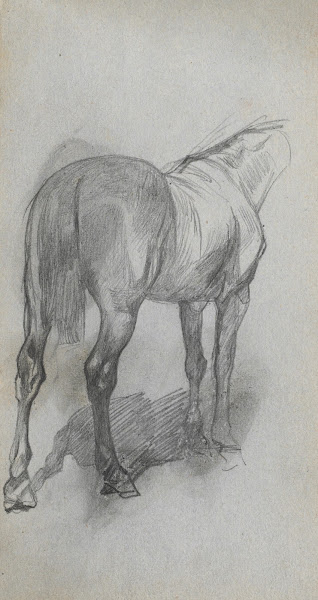 Study of a Horse 6 1860s