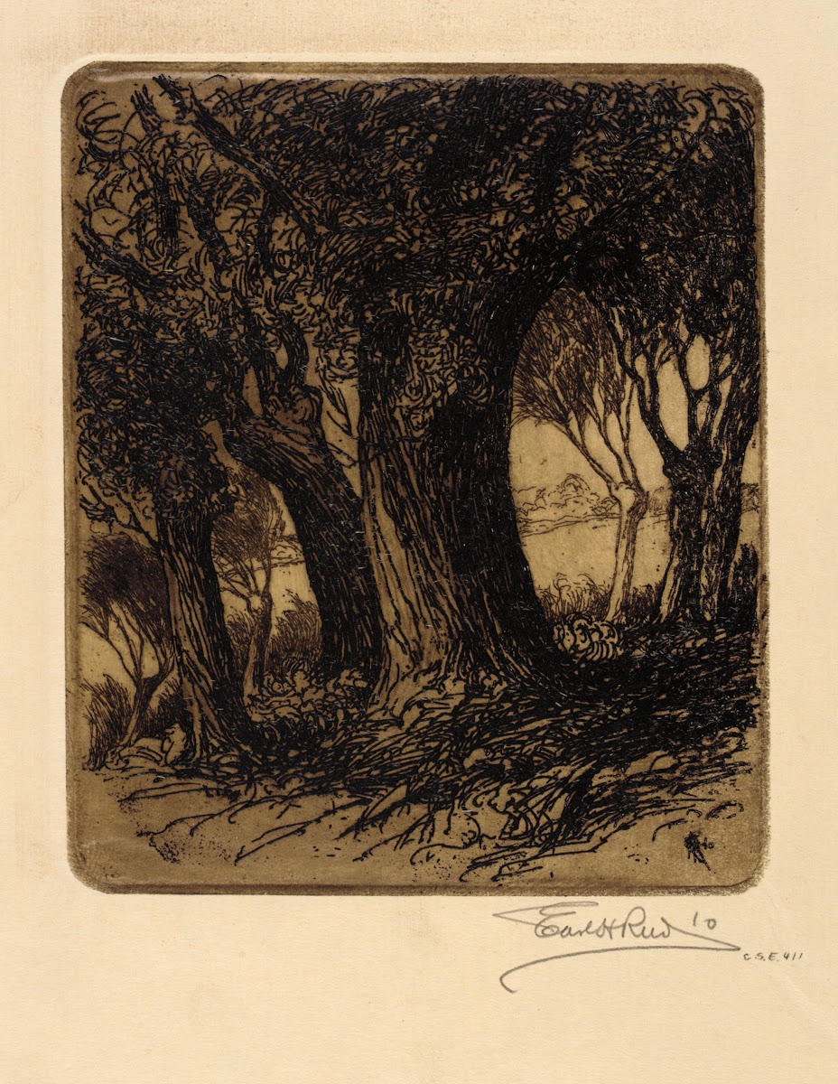 Woods 1910