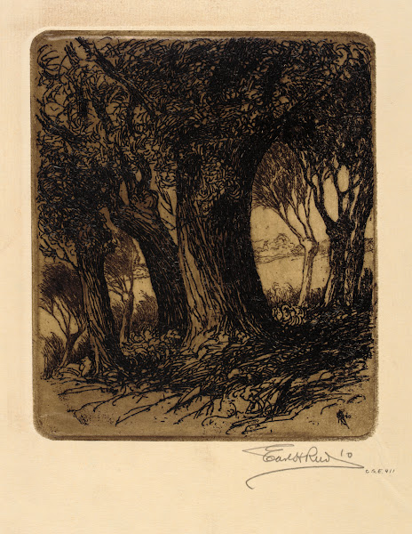 Woods 1910