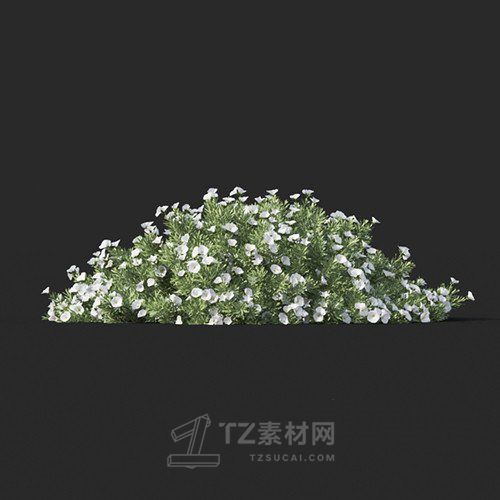 Maxtree - Plant Models Vol.60