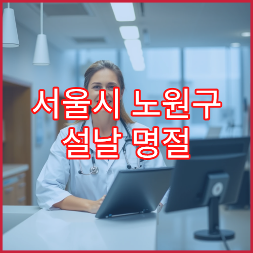 서울시 노원구 설날 명절 이비인후과 연휴 진료 병원 코막힘·인후염·알레르기 상담 가능