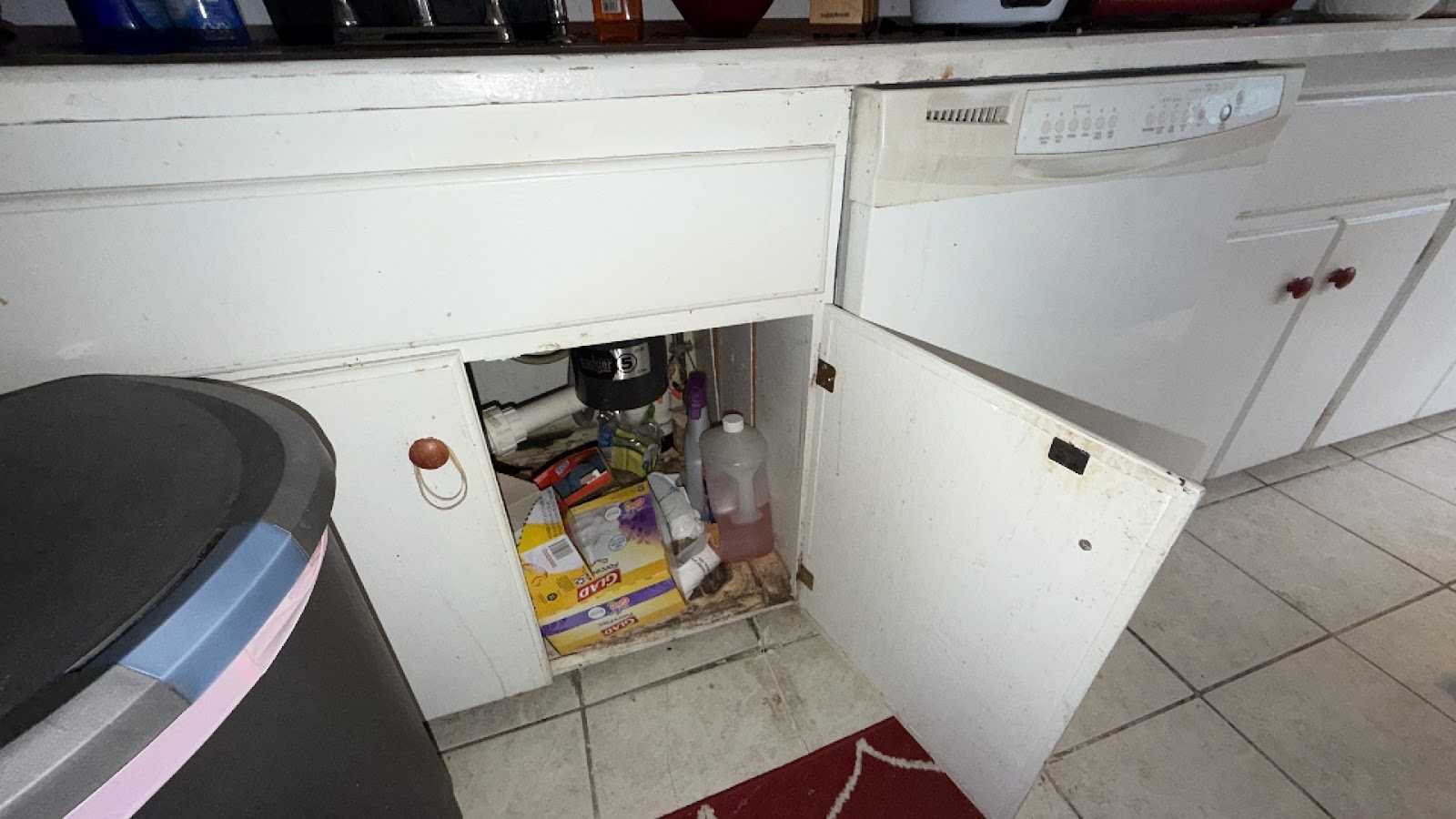 Copy of IMG_2026-03-13_14-26-25_656.jpg