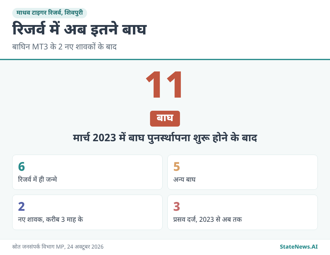 माधव टाइगर रिजर्व में बाघों की संख्या 11 हुई, इनमें 6 यहीं जन्मे