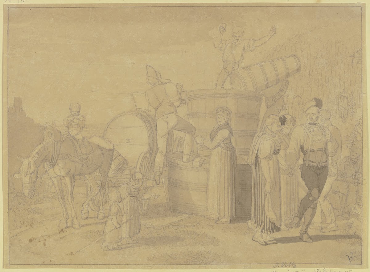 Grape harvest