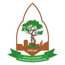 KKU Orthopedics Logo