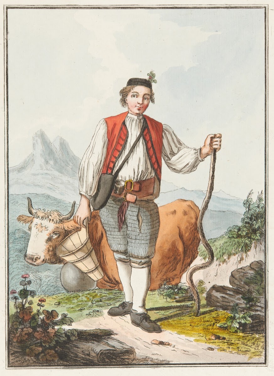 Vacher Allemand du Canton de Fribourg