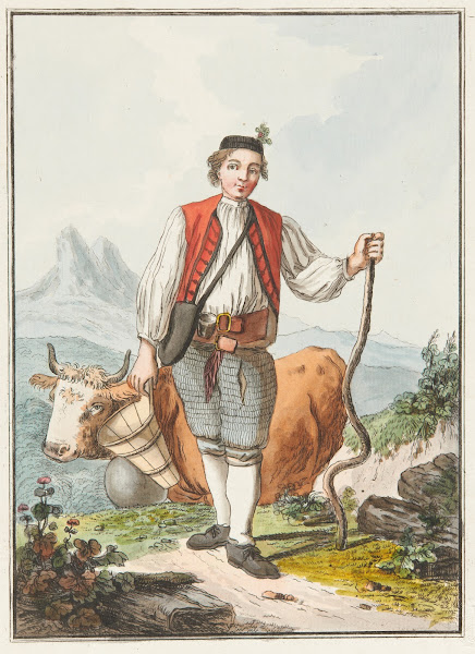 Vacher Allemand du Canton de Fribourg