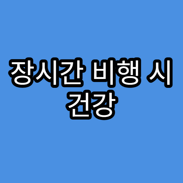 장시간 비행 시 건강 관리 팁 알아보기