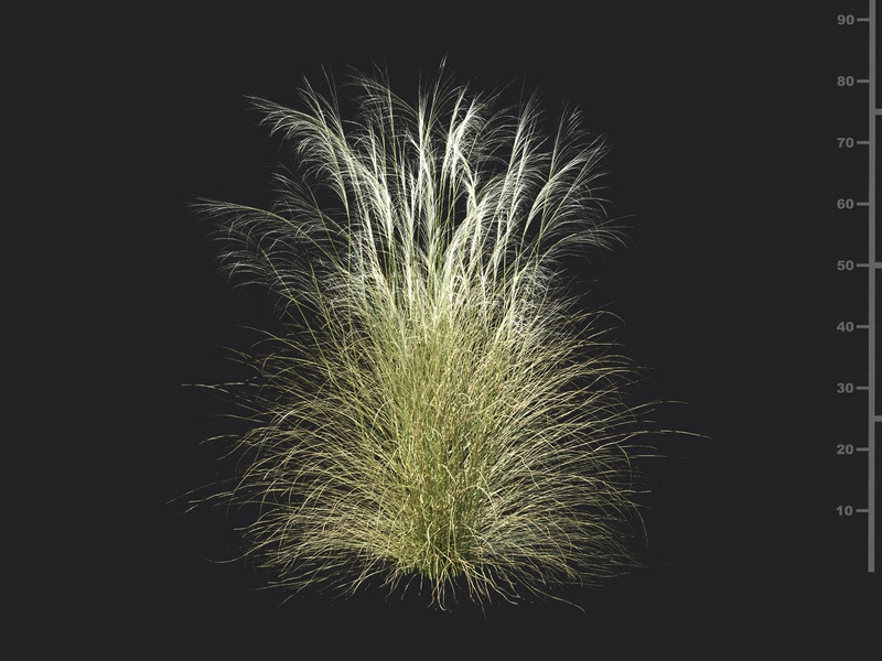 Maxtree - Plant Models Vol.115
