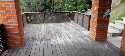 20230428_111303.jpg