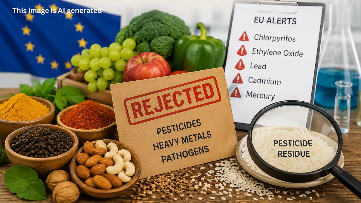 EU flags 365 Indian products with pesticides in 2 years
