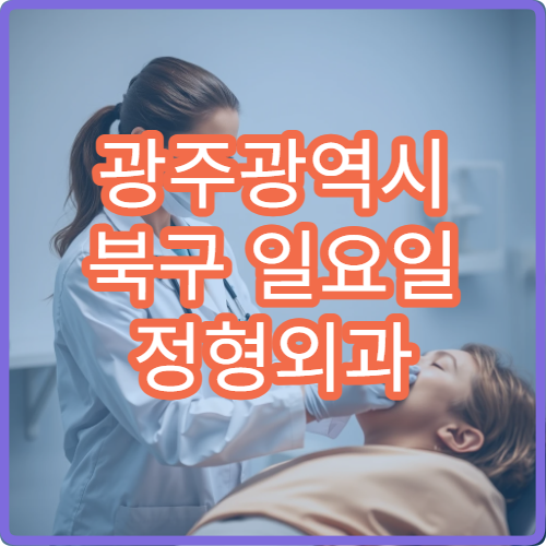 광주광역시 북구 일요일 정형외과 휴일 진료 병원