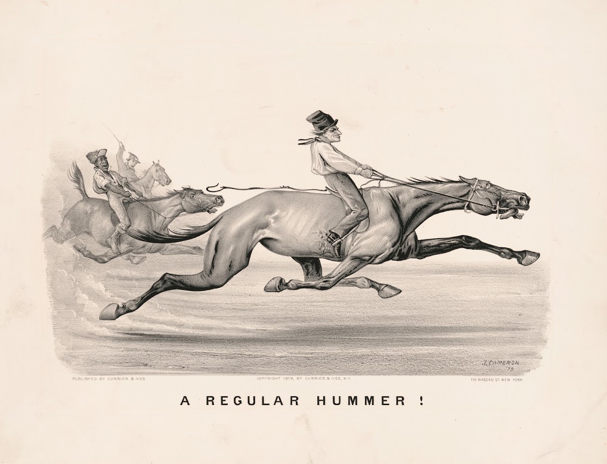 A regular hummer 1879