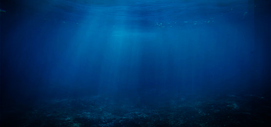Blue Ocean. Blue carbon ecosystem, carbon, ocean, coral bleaching, Ocean Acidification, marine ecosystems. CarbonEthics