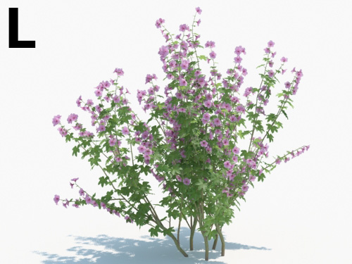 Maxtree - Plant Models Vol.3