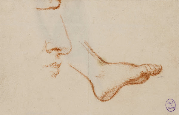 Etude dun pied droit et du profil dun nez et dune bouche
